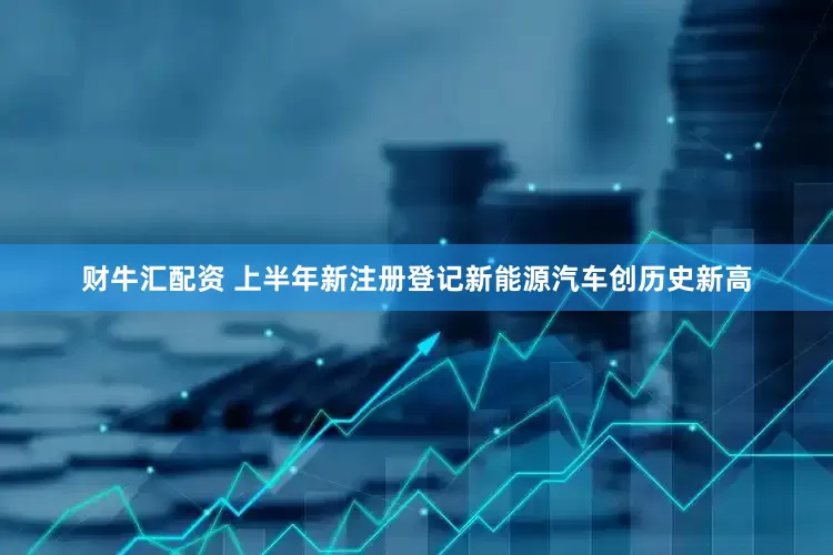 财牛汇配资 上半年新注册登记新能源汽车创历史新高