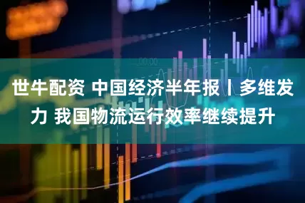 世牛配资 中国经济半年报丨多维发力 我国物流运行效率继续提升
