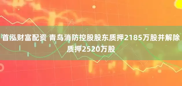 首泓财富配资 青鸟消防控股股东质押2185万股并解除质押2520万股