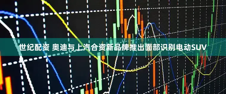 世纪配资 奥迪与上汽合资新品牌推出面部识别电动SUV